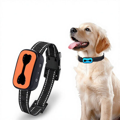 Rechargeable Anti Bark Collar | Waterproof No-Shock Dog Training Collar OEM Wholesale