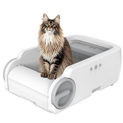 Self-Cleaning Cat Litter Box | 6.5L Large Capacity, Odor Control, Semi-Automatic Pet Hygiene for B2B