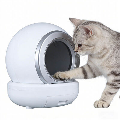 Bulk Automatic Self-Cleaning Cat Litter Box | Smart Pet Toilet OEM Wholesale Manufacturer