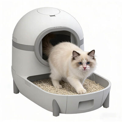 Smart Automatic Cat Litter Box, Quiet, Large Capacity, BPA-Free, Factory Direct Bulk Orders