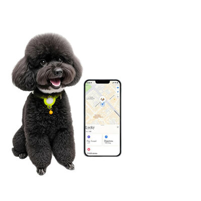 GPS Smart Pet Collar – Waterproof, Real-Time Tracking, Long Battery Life, Wholesale OEM for Dogs & Cats