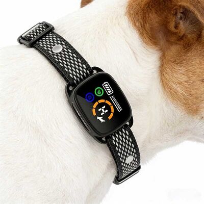 Wholesale Rechargeable Anti-Bark Dog Collar Waterproof Smart Training Collar for Pet Retail & OEM