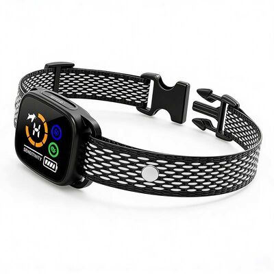 Wholesale Rechargeable Anti-Bark Dog Collar Waterproof Smart Training Collar for Pet Retail & OEM