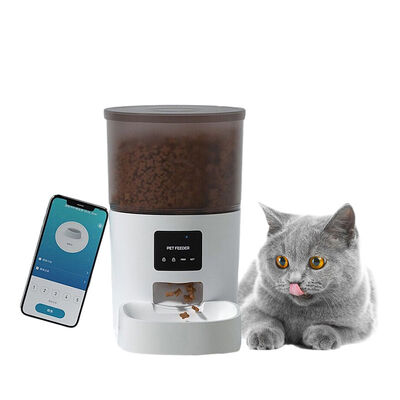 WiFi Automatic Cat Feeder | App Control, 6L Large Capacity, Anti-Jam, Pet Safe | Bulk Wholesale OEM Factory