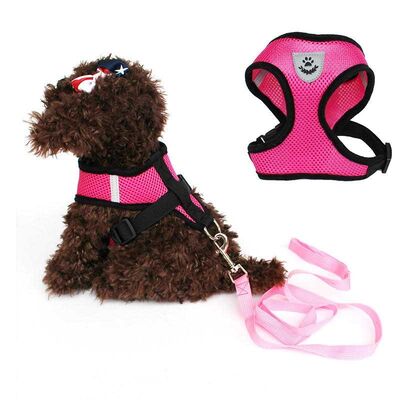 Adjustable Breathable Pet Harness Leash Set – Factory Direct Dog Walking Vest for B2B Distributors