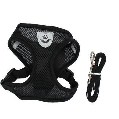 Adjustable Breathable Pet Harness Leash Set – Factory Direct Dog Walking Vest for B2B Distributors