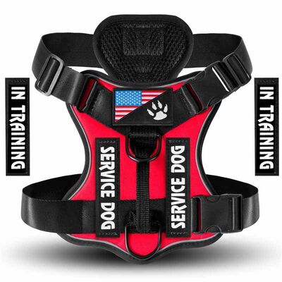 Wholesale Dog Harness, Bulk No Pull Vest, OEM Private Label Custom Heavy Duty Adjustable Pet Harness