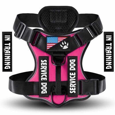 Wholesale Dog Harness, Bulk No Pull Vest, OEM Private Label Custom Heavy Duty Adjustable Pet Harness
