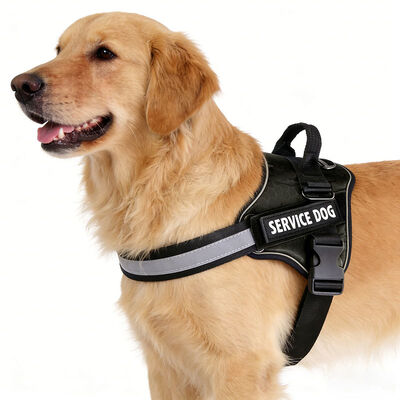Wholesale No Pull Dog Harness Heavy Duty Service Pet Harness Bulk Custom For Large Working Dog