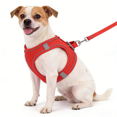 Custom Logo Dog Harness Set, Adjustable Reflective Pet Vest Wholesale Bulk Goods for Small Medium Dogs