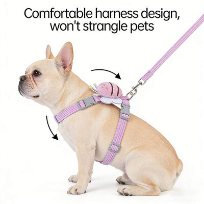 Pet Harness Set, Soft Breathable Walking Harness, Bulk Wholesale & Private Label for EU US Pet Retailers