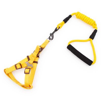 Multi Size Safe Dog Harness Wear Resistant Harness Wholesale Supply For Pet Shop Inventory Purchase