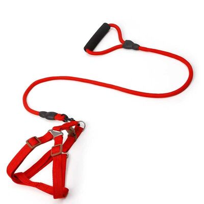 Multi Size Safe Dog Harness Wear Resistant Harness Wholesale Supply For Pet Shop Inventory Purchase