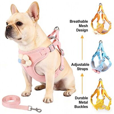 Pet Harness Wholesale Adjustable Breathable Dog Harness Custom Logo For Small Medium Dog Bulk Supply