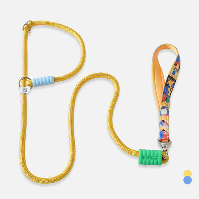 Custom Pet Harness Wholesale, Waterproof Breathable Dog Cat Harness Bulk Stock For Global Retailers