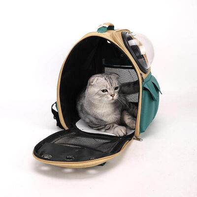 Pet Harness Set, Soft Breathable Walking Harness, Bulk Wholesale & Private Label for EU US Pet Retailers