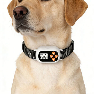 Waterproof GPS Pet Tracking Collar Real Time Locator for Dogs Cats OEM ODM Wholesale