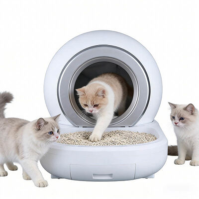 Bulk Automatic Self-Cleaning Cat Litter Box | Smart Pet Toilet OEM Wholesale Manufacturer