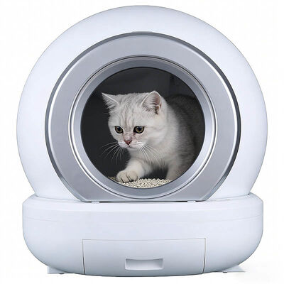 Bulk Automatic Self-Cleaning Cat Litter Box | Smart Pet Toilet OEM Wholesale Manufacturer