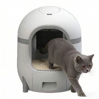 Smart Automatic Cat Litter Box, Quiet, Large Capacity, BPA-Free, Factory Direct Bulk Orders