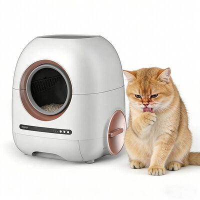 Automatic Self-Cleaning Cat Litter Box, Odor Control, Safe Sensor, CE Certified, OEM Wholesale