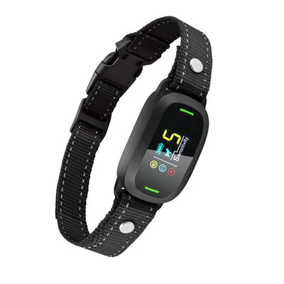 Smart Pet GPS Collar | Real-Time Tracking, IP67 Waterproof, Long Battery Life, B2B Wholesale OEM