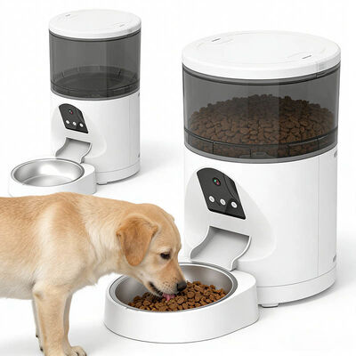 Smart Automatic Pet Feeder App Control Timer Portion Control Voice Record Wholesale Bulk OEM Manufacturer
