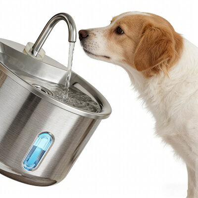 Bulk Smart Pet Water Fountain, 304 Food-Grade, Quiet, Filtered, Leak-Proof For Dogs Cats OEM ODM