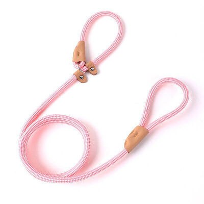 Adjustable Cat Dog Harness Wholesale Lightweight Breathable Mesh Safety Pet  Harness OEM Available