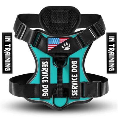 Wholesale Dog Harness, Bulk No Pull Vest, OEM Private Label Custom Heavy Duty Adjustable Pet Harness