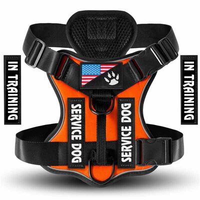 Wholesale Dog Harness, Bulk No Pull Vest, OEM Private Label Custom Heavy Duty Adjustable Pet Harness