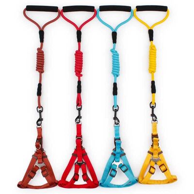 Multi Size Safe Dog Harness Wear Resistant Harness Wholesale Supply For Pet Shop Inventory Purchase