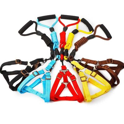 Multi Size Safe Dog Harness Wear Resistant Harness Wholesale Supply For Pet Shop Inventory Purchase