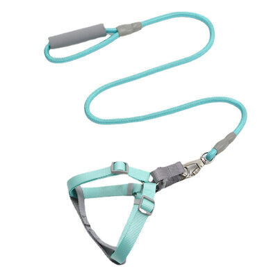 Custom Pet Harness Wholesale, Padded Comfort Dog Cat Harness, Durable Outdoor Pet Accessory Bulk Order