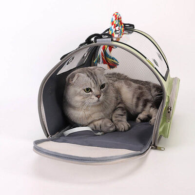 Pet Backpack Carrier Bulk Mesh Large Opening Outdoor Hiking Cat Backpack Private Label Wholesale